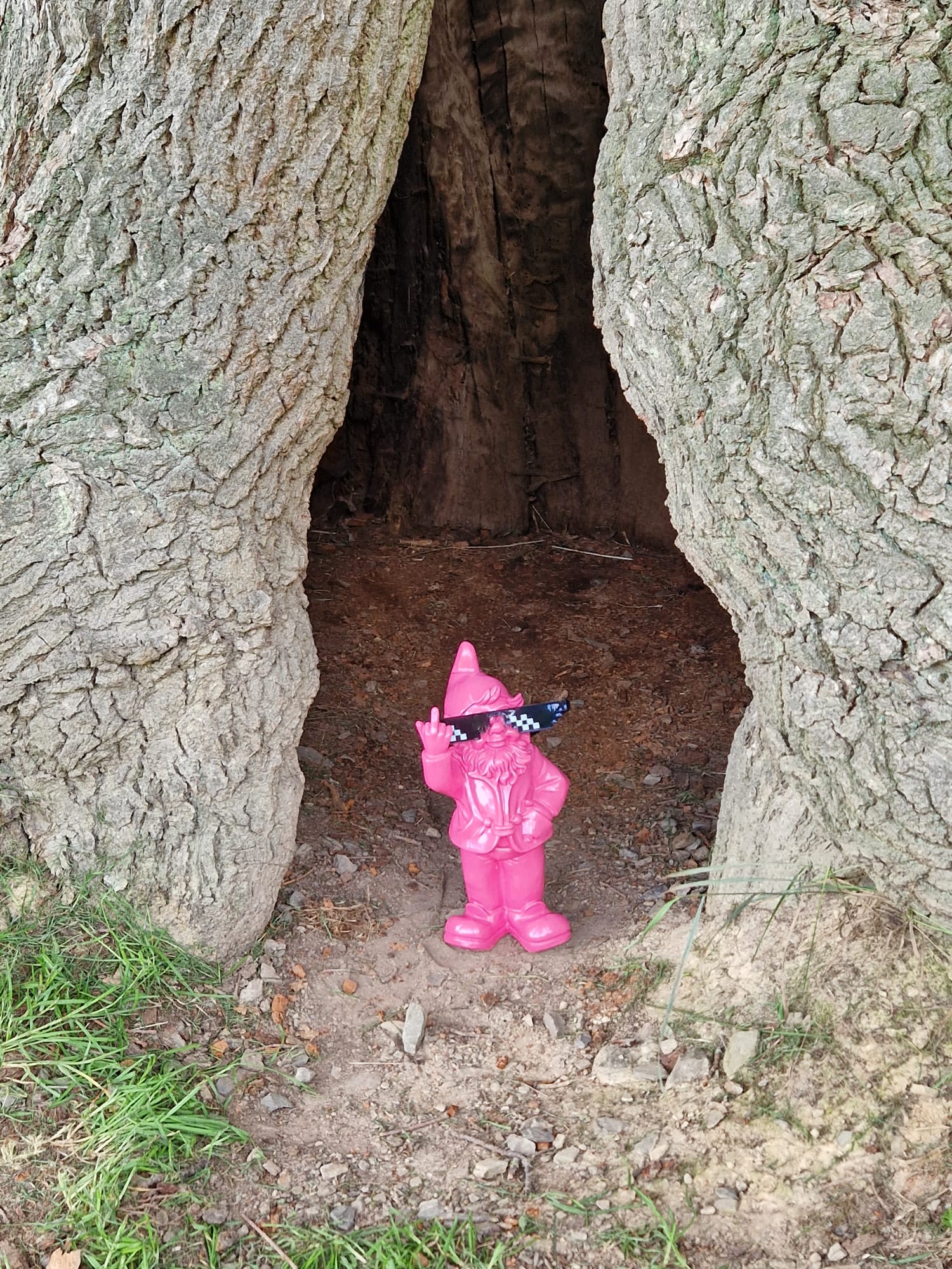 Stoobz.nl - Gnome flipping the bird in a giant tree Stoobz.nl - Gnome flipping the bird in a giant tree